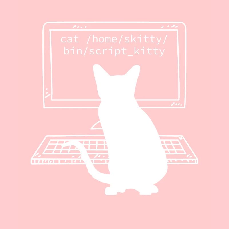 Programmierer Coder Informatiker Spaß Katzen