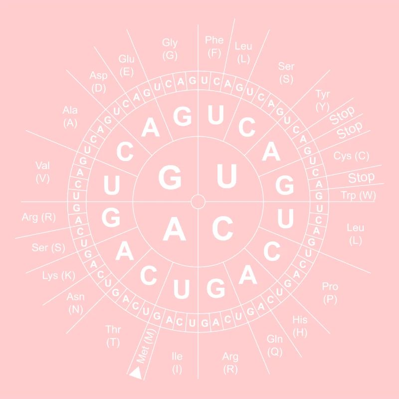 Code-Sun / Genetics / DNA / DNA / Biology / Science