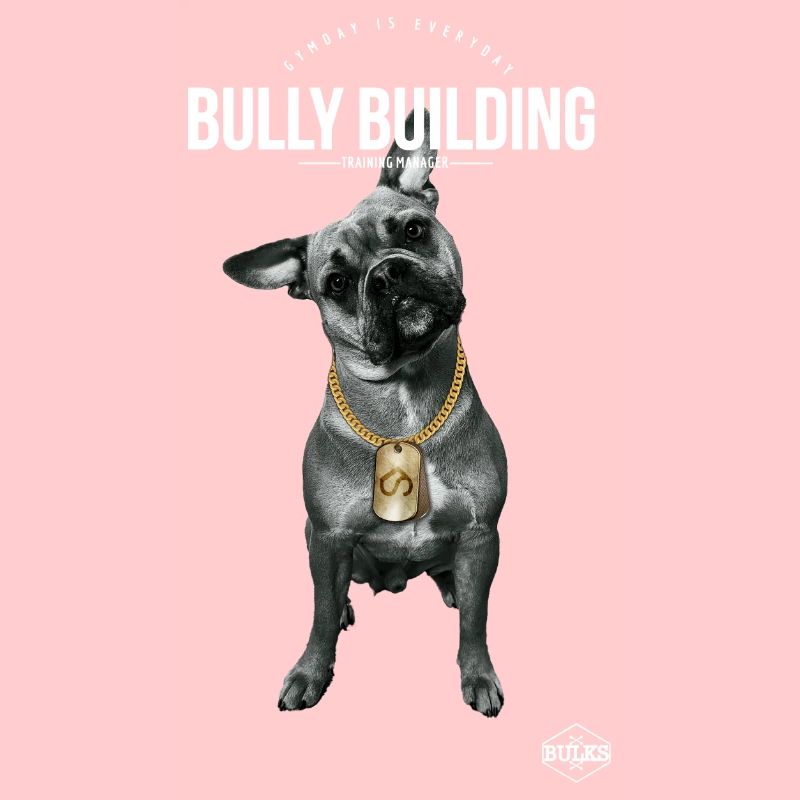 Bully Building