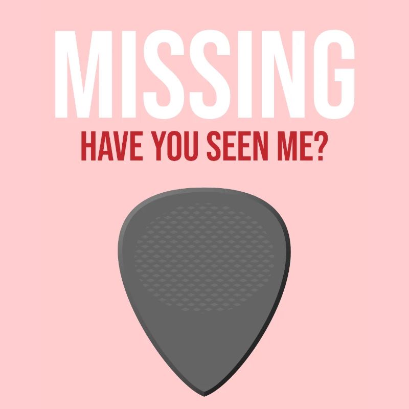 Plektrum Guitar Pick manquant