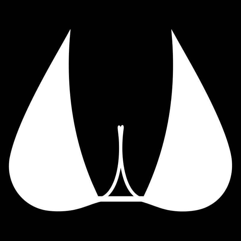 Bikini Breasts Bust Gift Idea