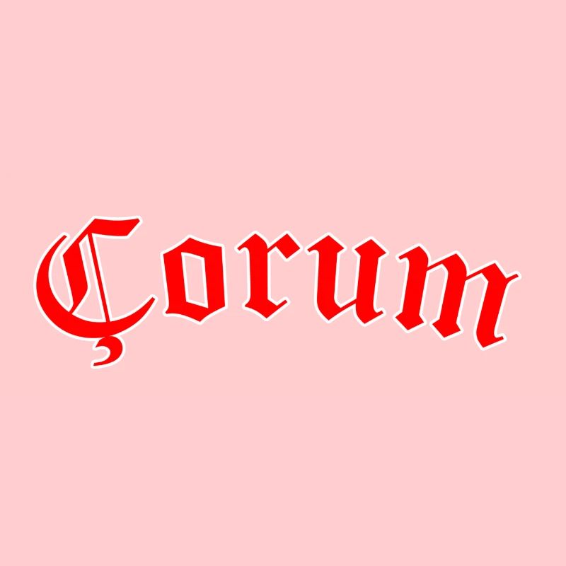 Çorum 19