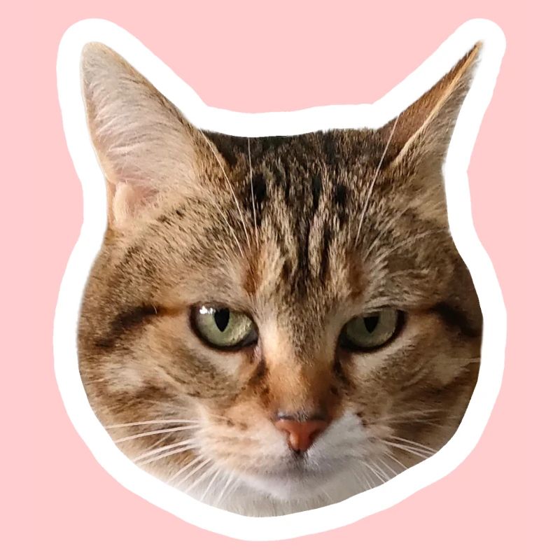 Missty Sad Decal
