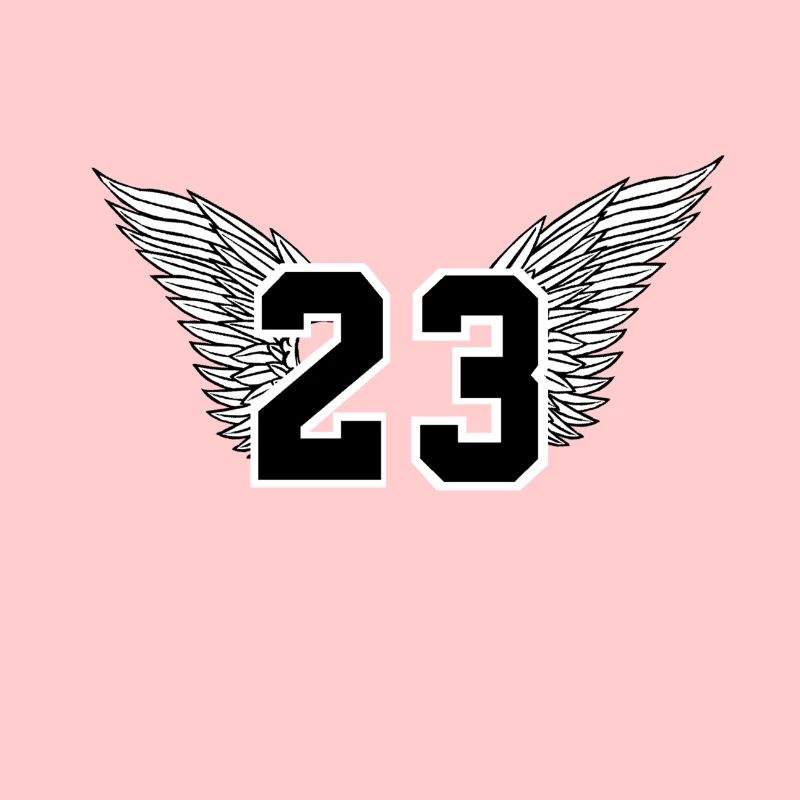 Basketball number 23 Michael Jordan