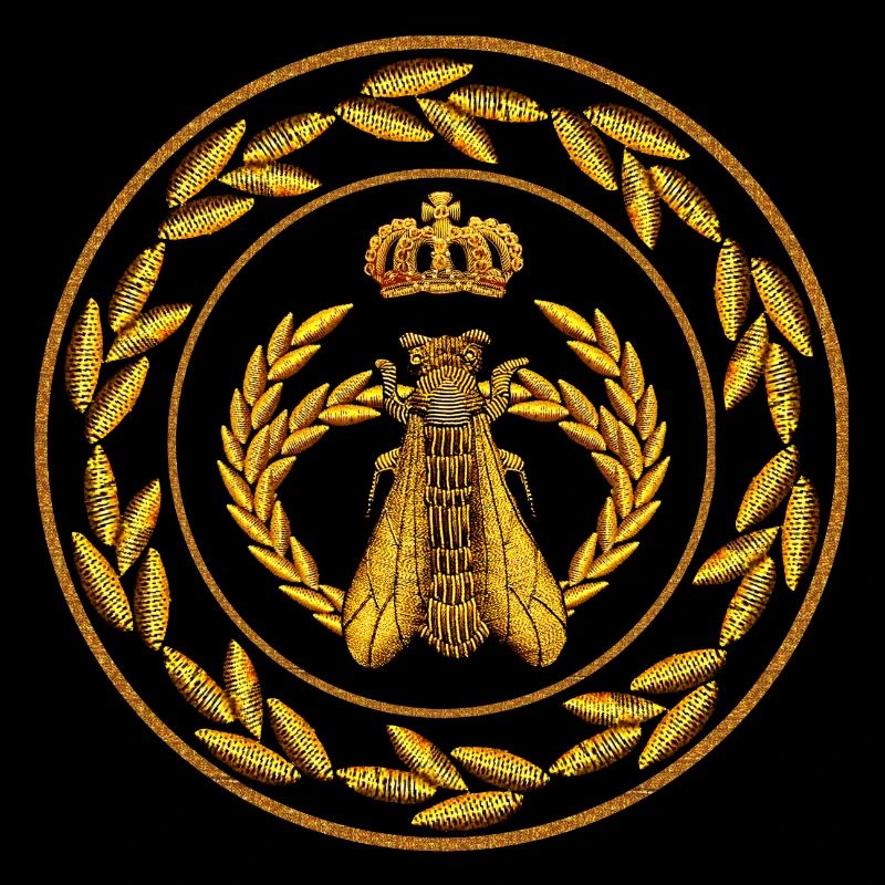 Ecusson Napoléon 10