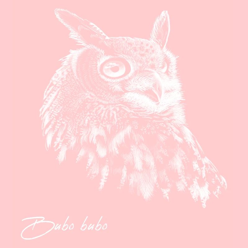 Eagle Owl Drawing