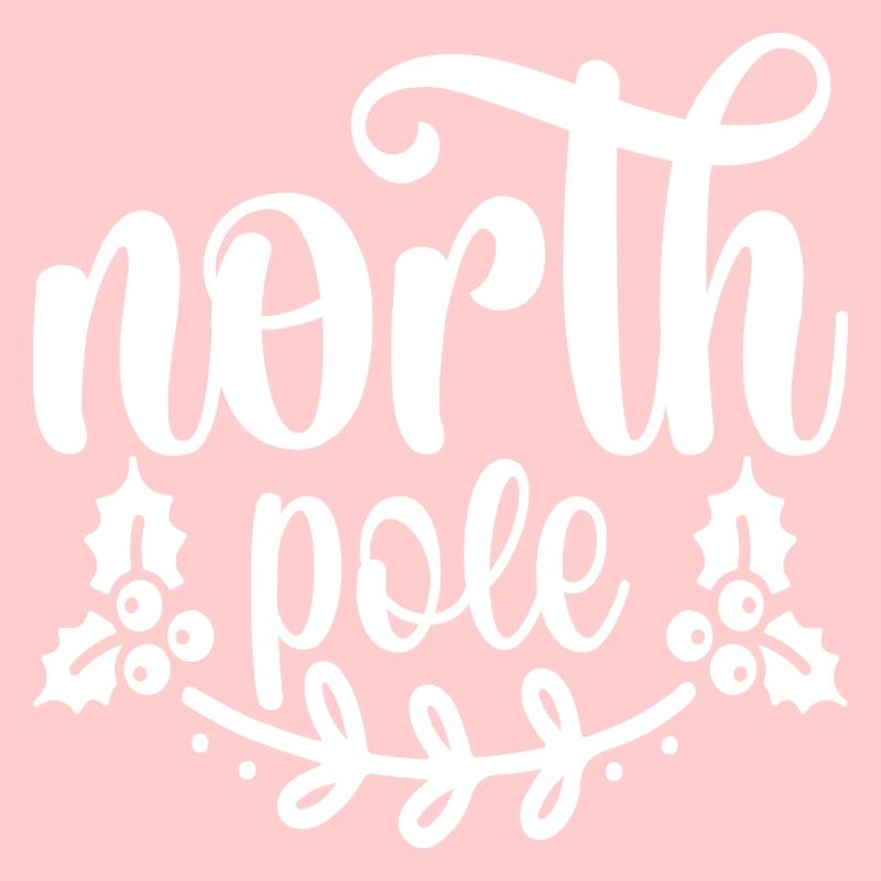 Pôle nord