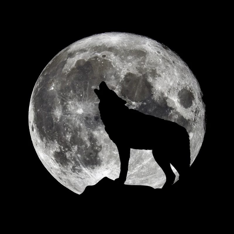 Wolf Moon