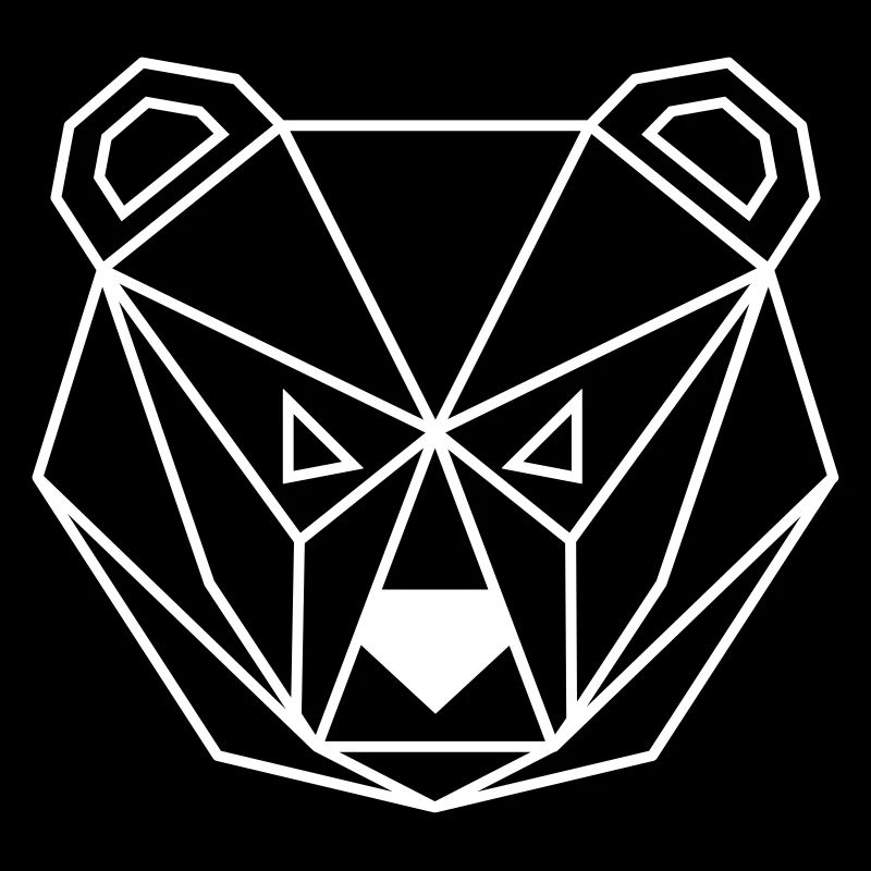 Bear geometric