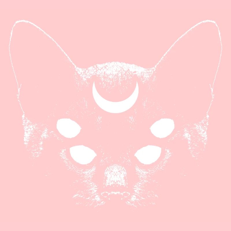 Magic Cat