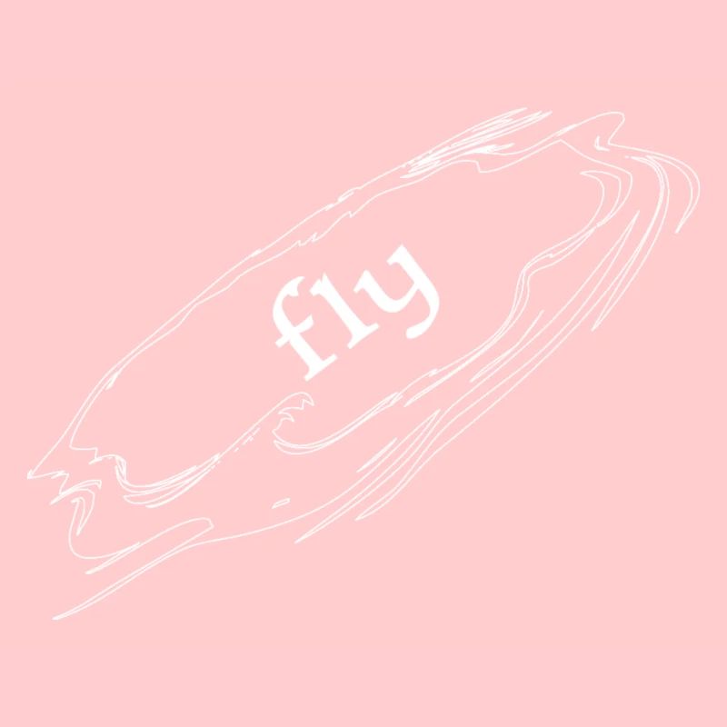 Fly