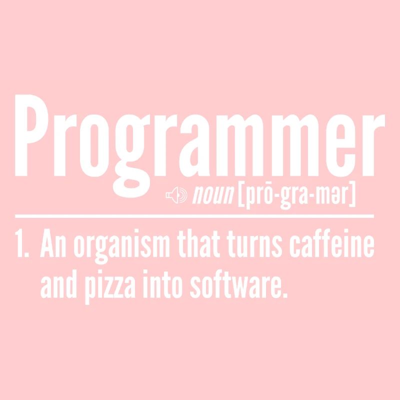 Programmierer