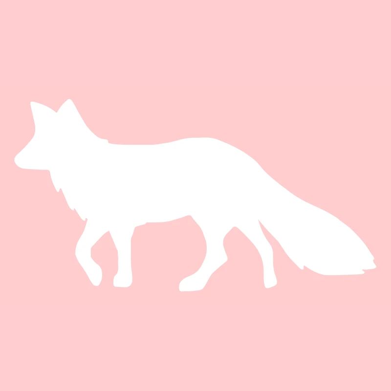 Fuchs weiß fox white