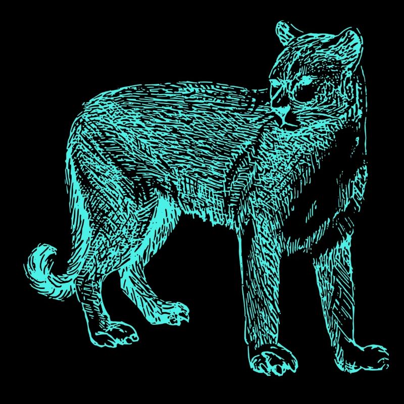 panthère