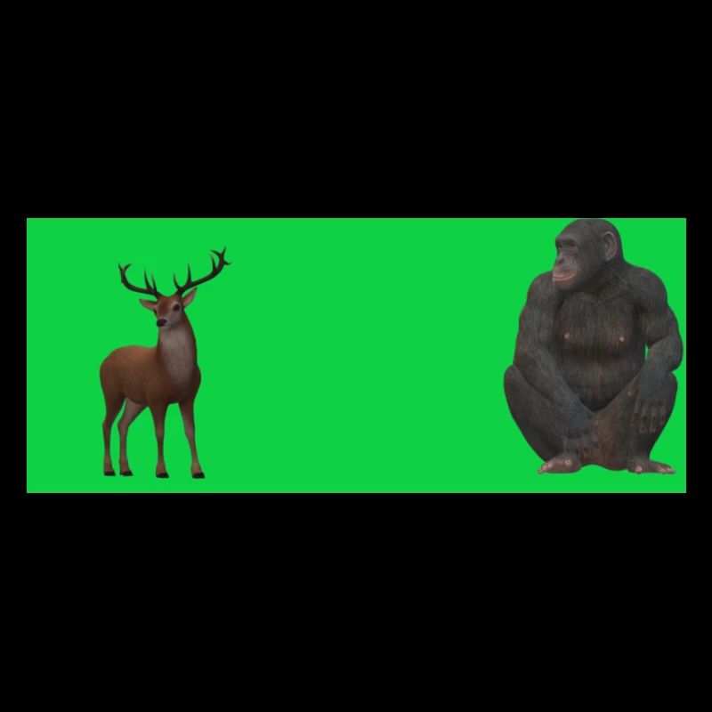 creature de Dieu