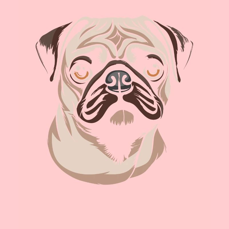 Mops Hund