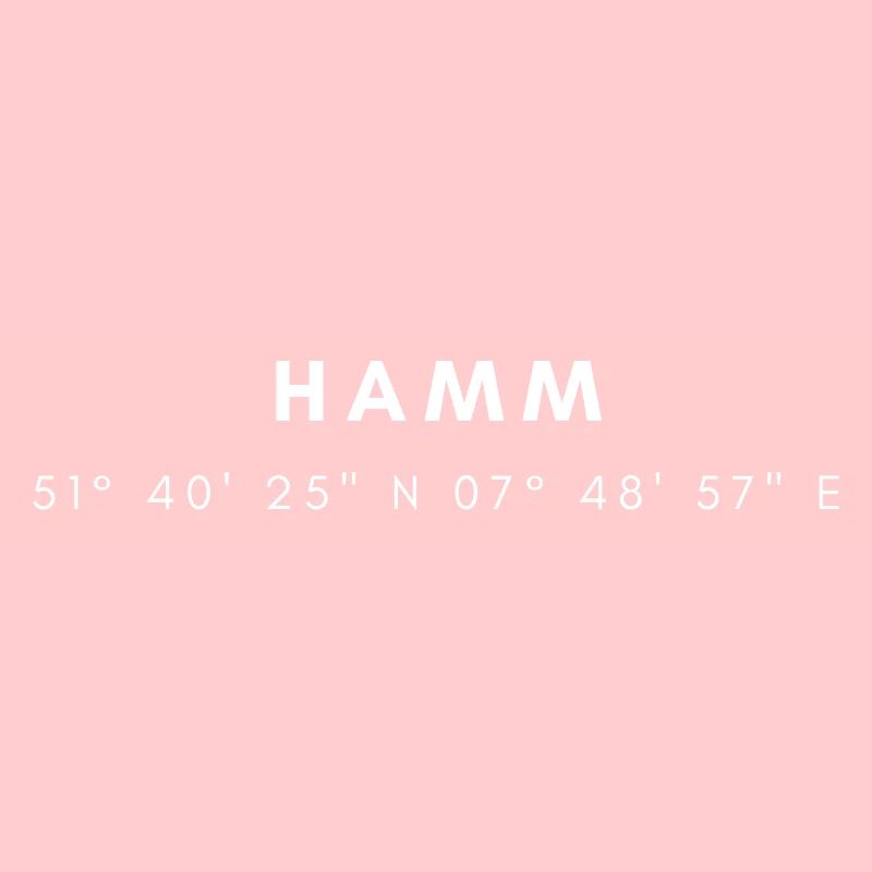 Hamm coordinates