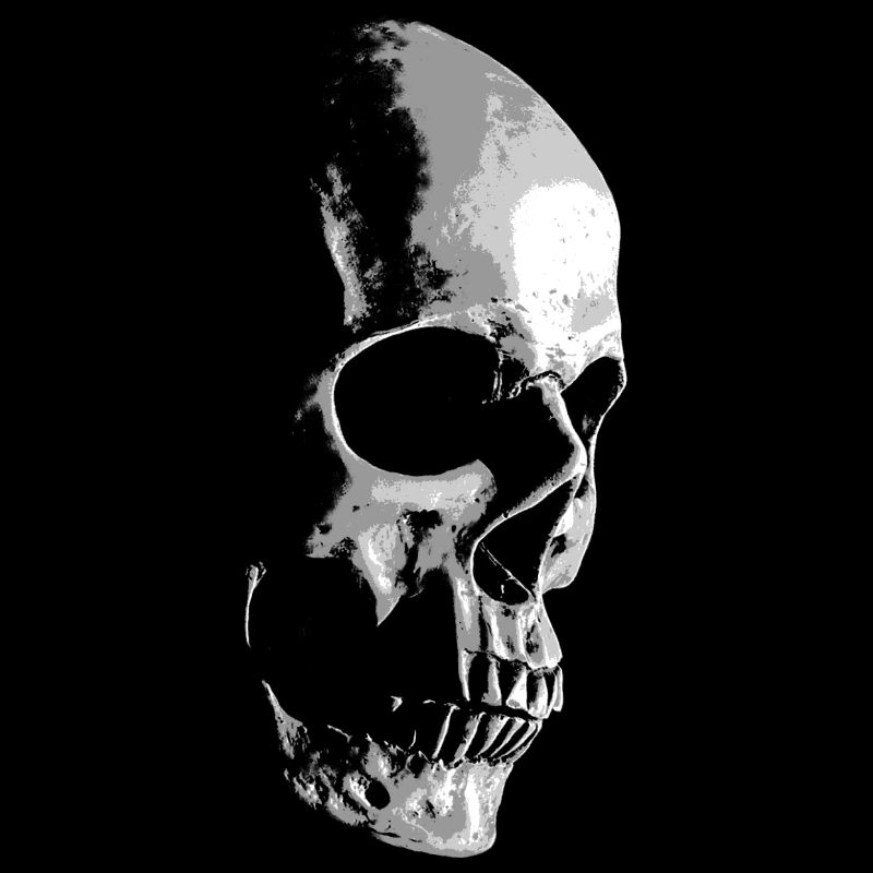 Skull