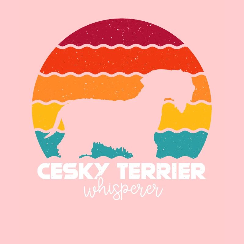 Cesky Terrier Dog - Cesky Terrier
