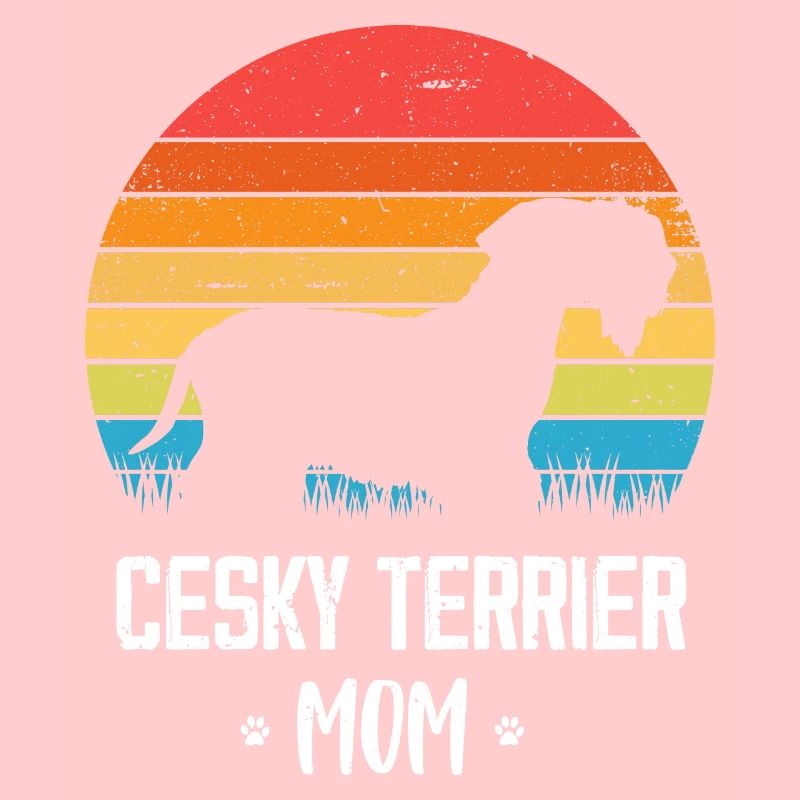 Cesky Terrier Chien - Cesky Terrier