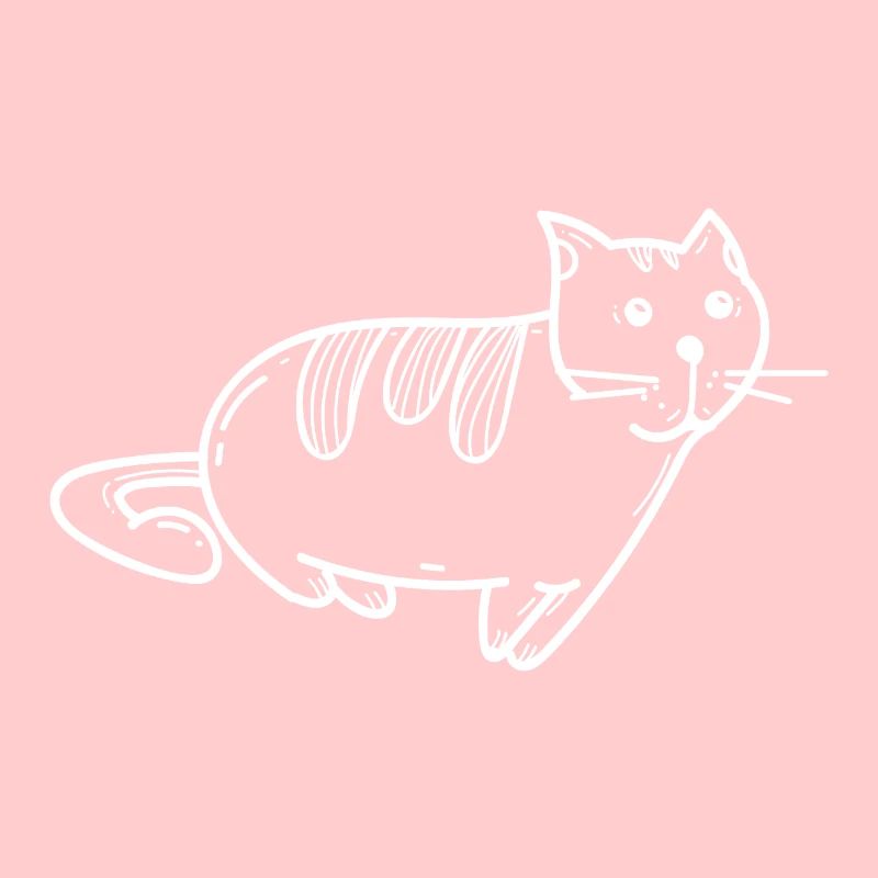 Cat kitten kitty
