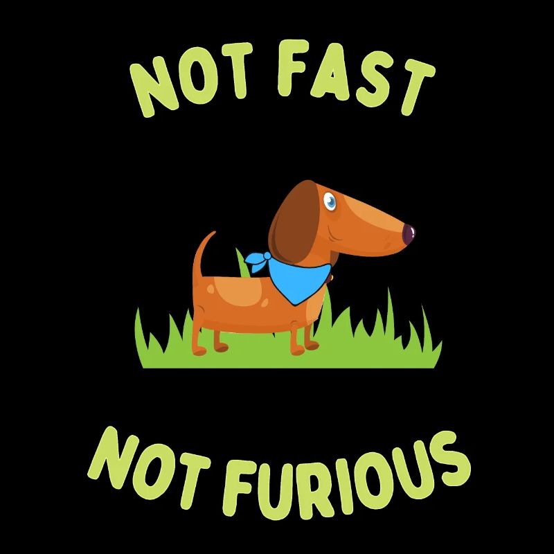 not fast not furious