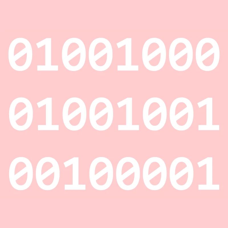 Hi Binary programmeurs se salue ainsi