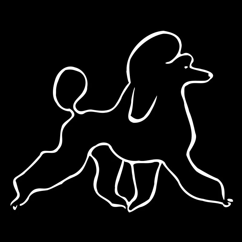 Caniche