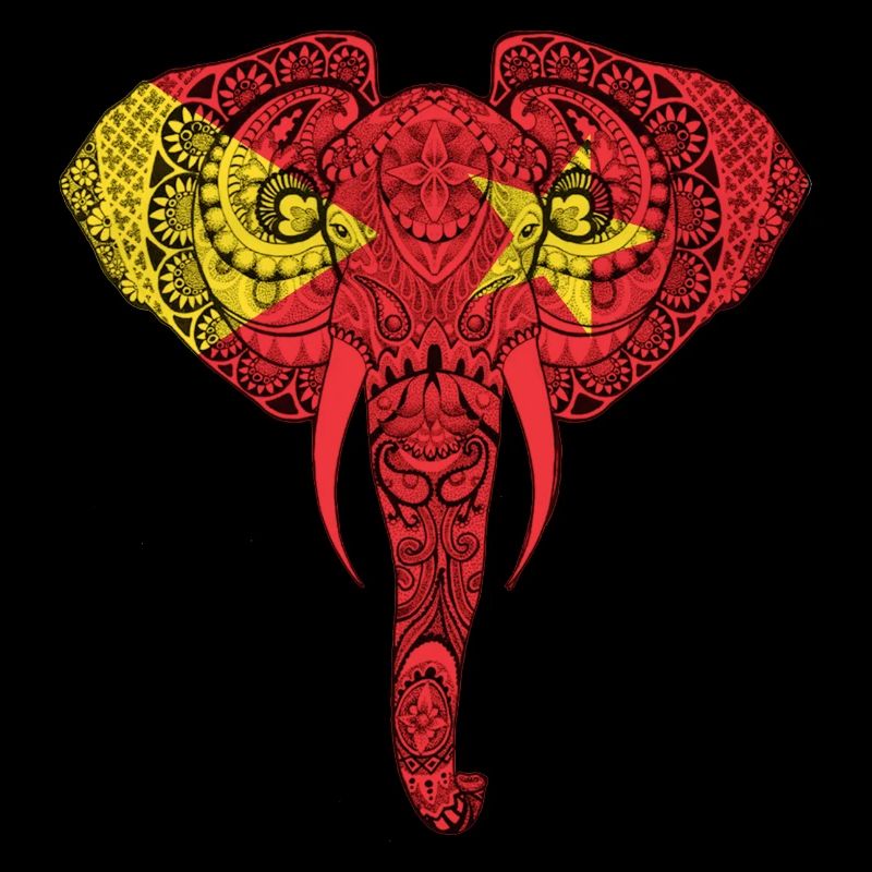 Tigray Flag Elephant - Support Tigray