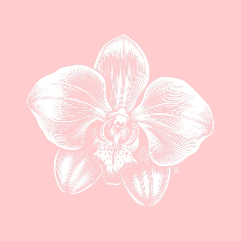 Orchid