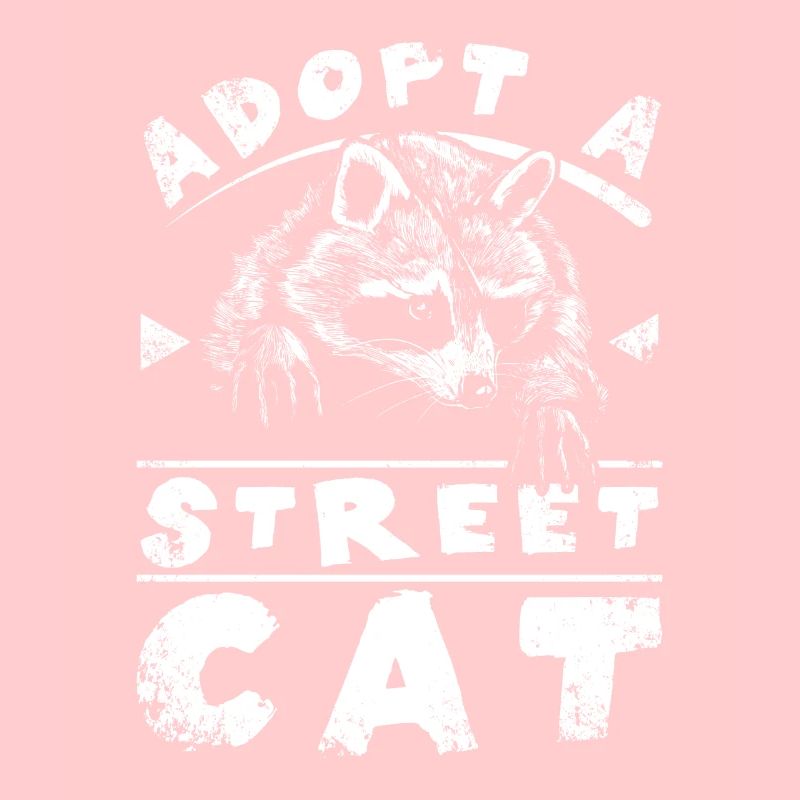 Adoptez un chat des rues raton laveur