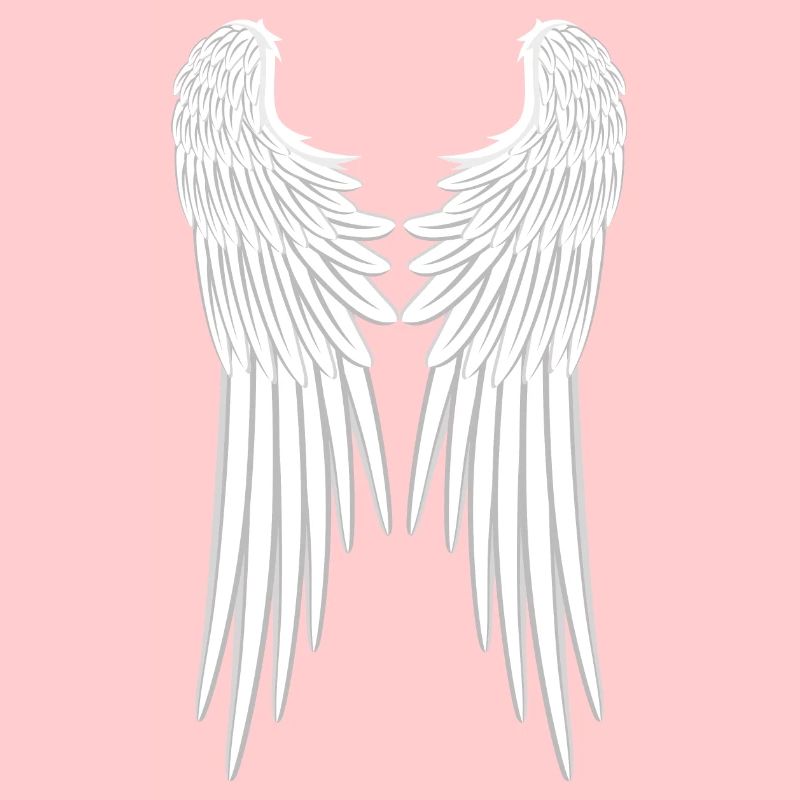 Ailes d'anges