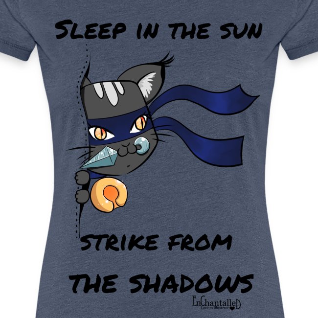 Ninja Cat Sleep in the sun strike from the shadows
