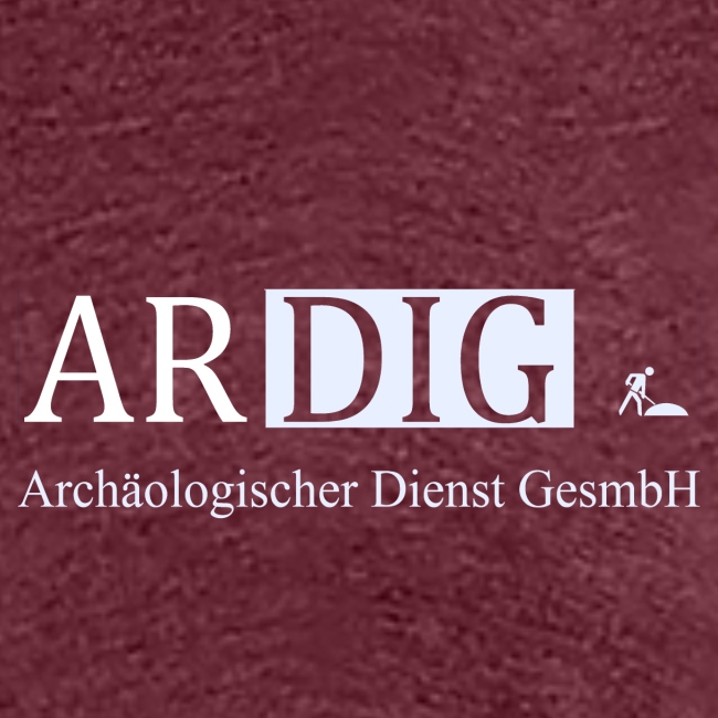 ARDIG Logo T Shirt png