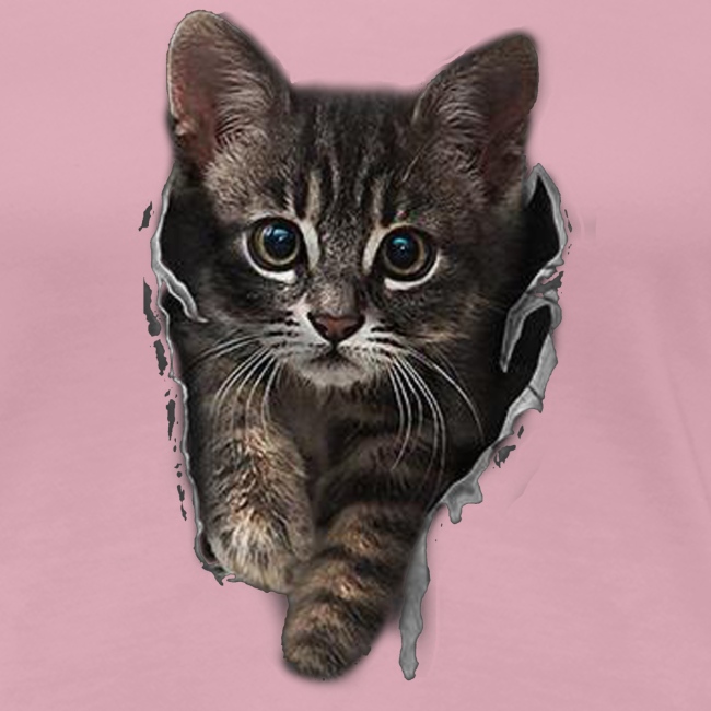Vorschau: Katze Riss - Frauen Premium T-Shirt
