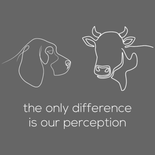 The Only Difference Is Our Perception