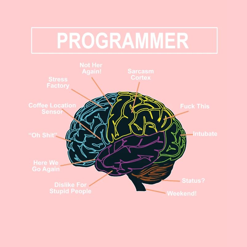 Programmierer
