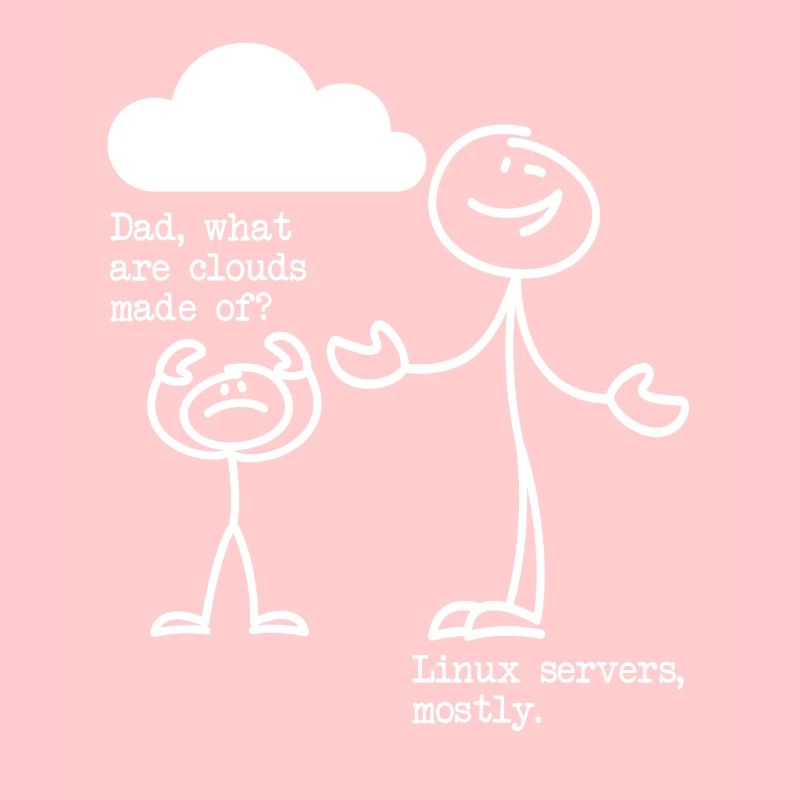 De quoi sont faits les nuages? Serveurs Linux principalement!
