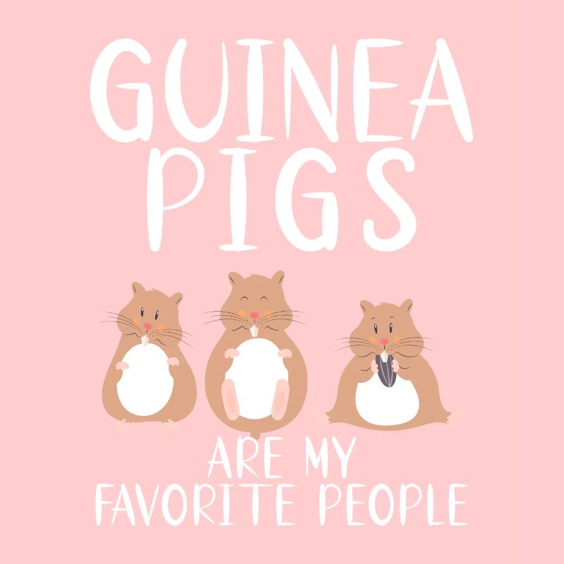 Süßes Meerschweinchen-Geschenk