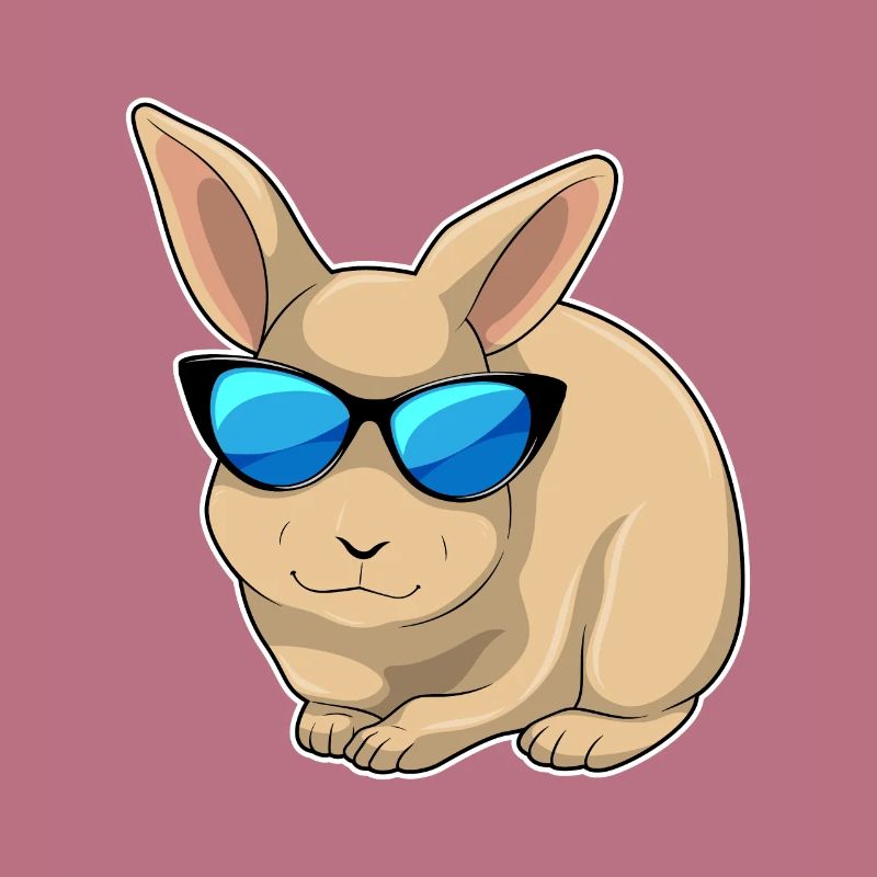 Rabbit Sunglasses