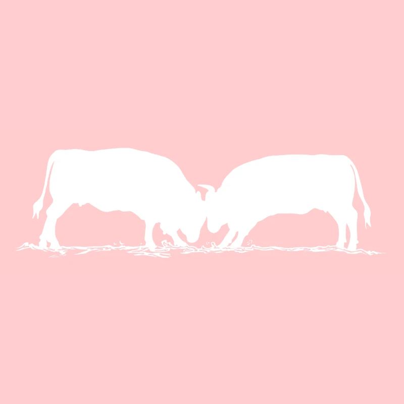 Vache d'hérens, eringer