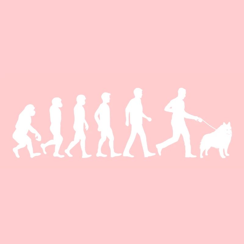 Schipperke chien évolution propriétaire de chien