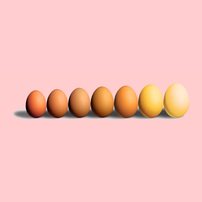 Eier
