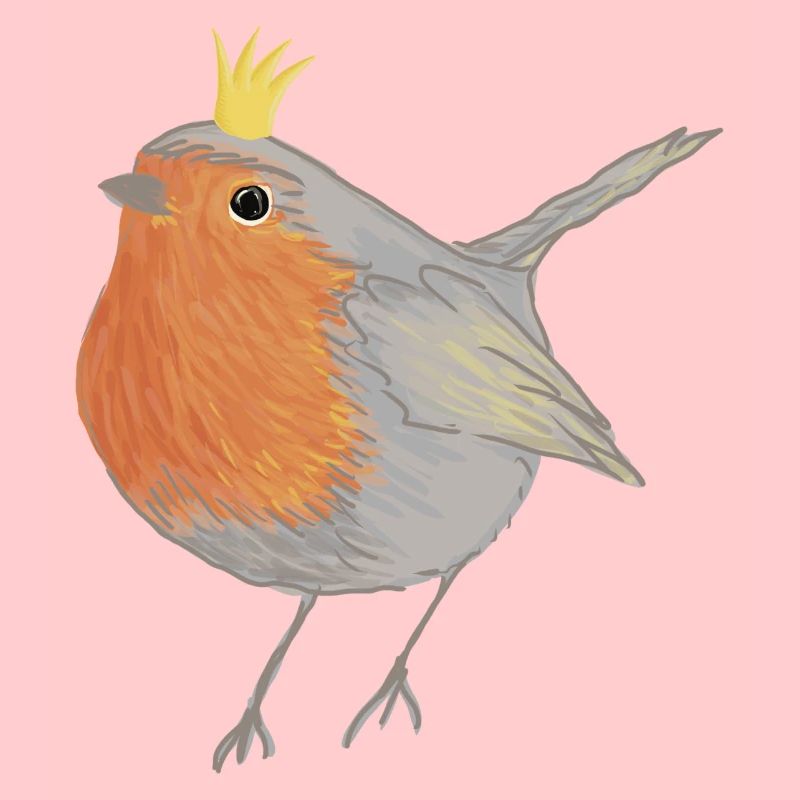 Princesse Robin