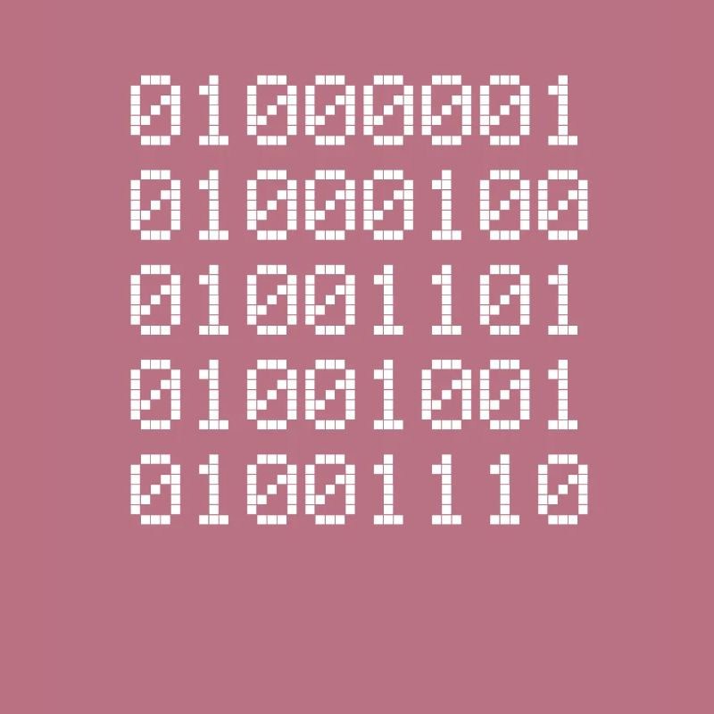 Admin Binär Binärcode Coder Informatiker Binary 01