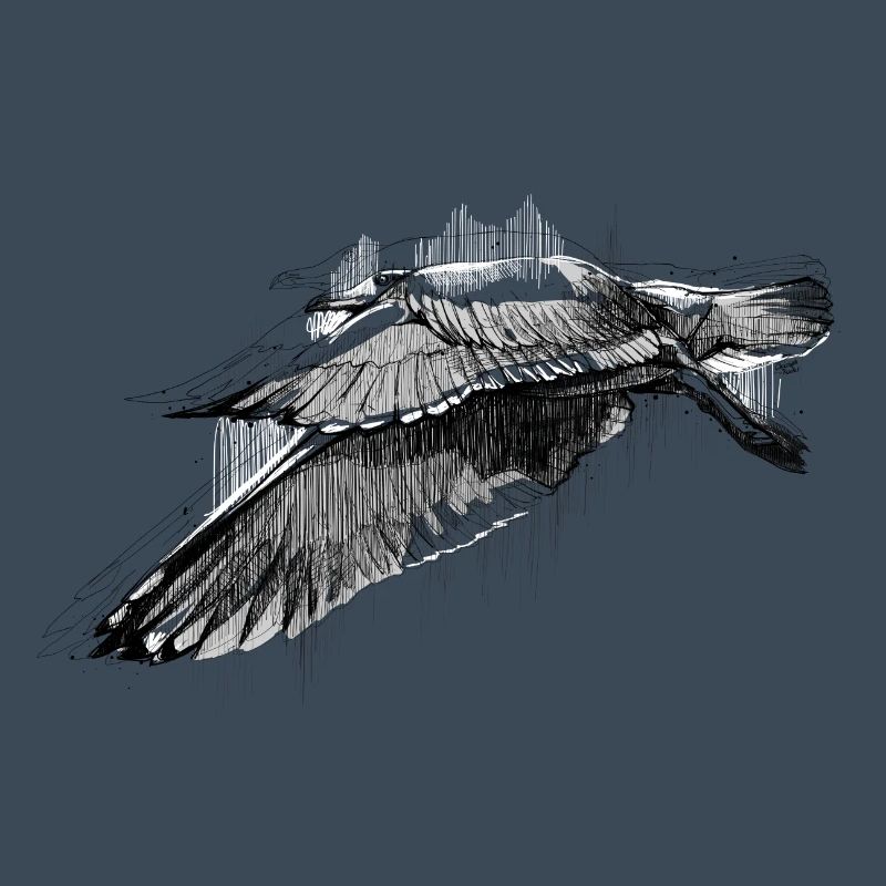 Seagulls Dive