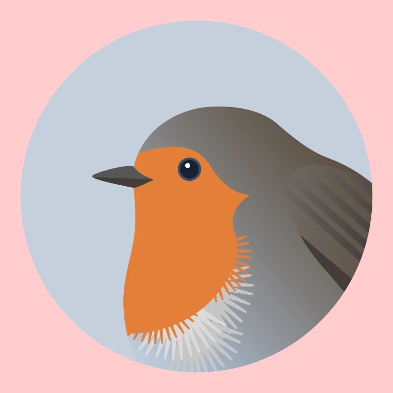 Robin oiseau Portrait impression/Illustration