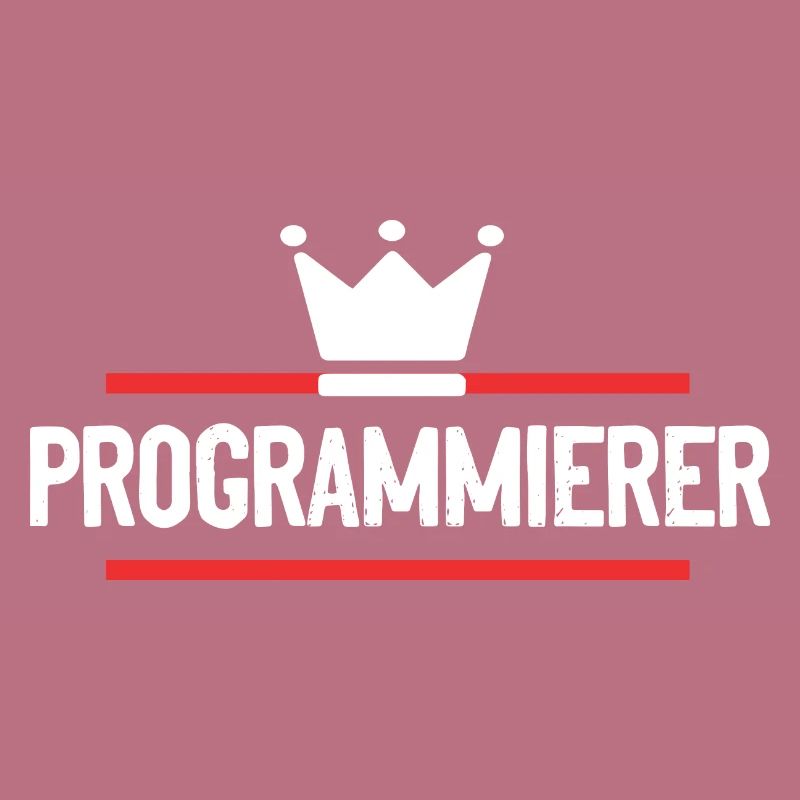 Programmierer Beruf