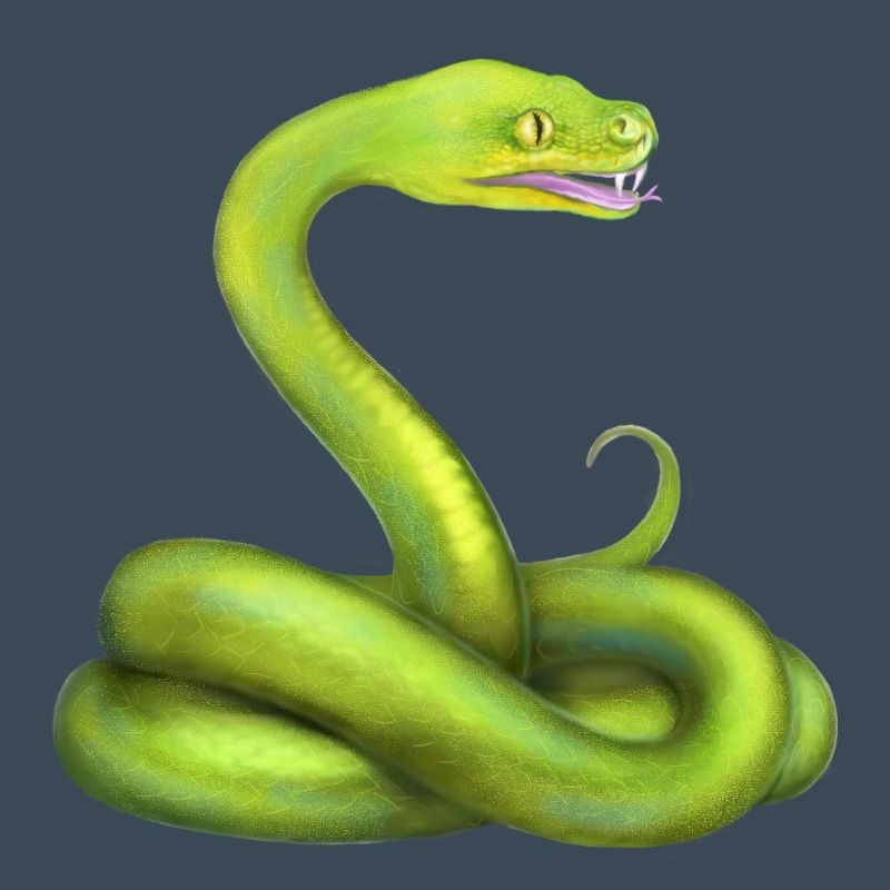 L’animal de la jungle du serpent python vert