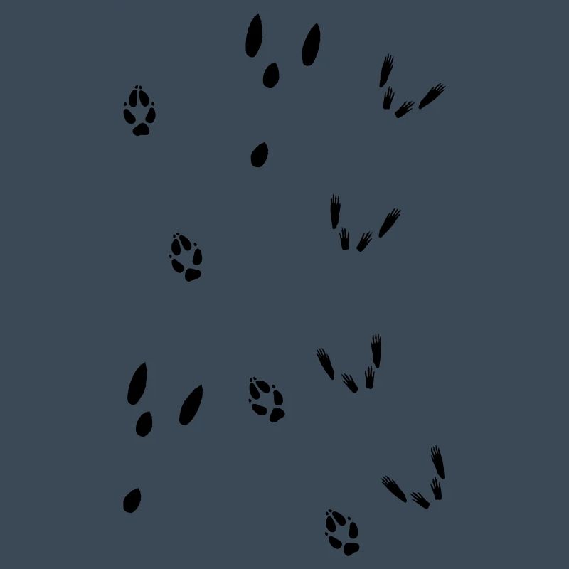 Tracks from squirrel, hare and fox